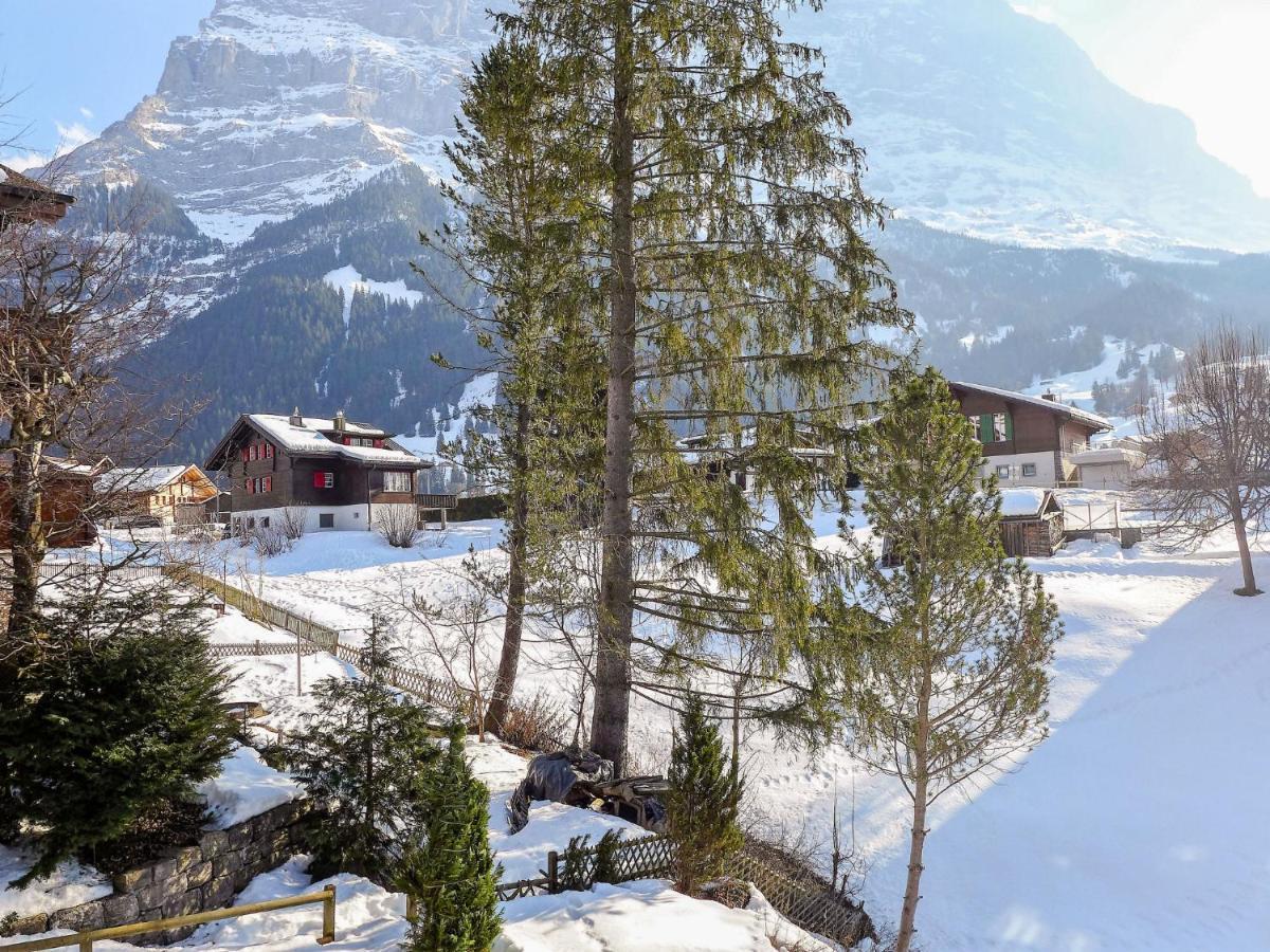 Apartment Chalet Spassvogel By Interhome Grindelwald Esterno foto