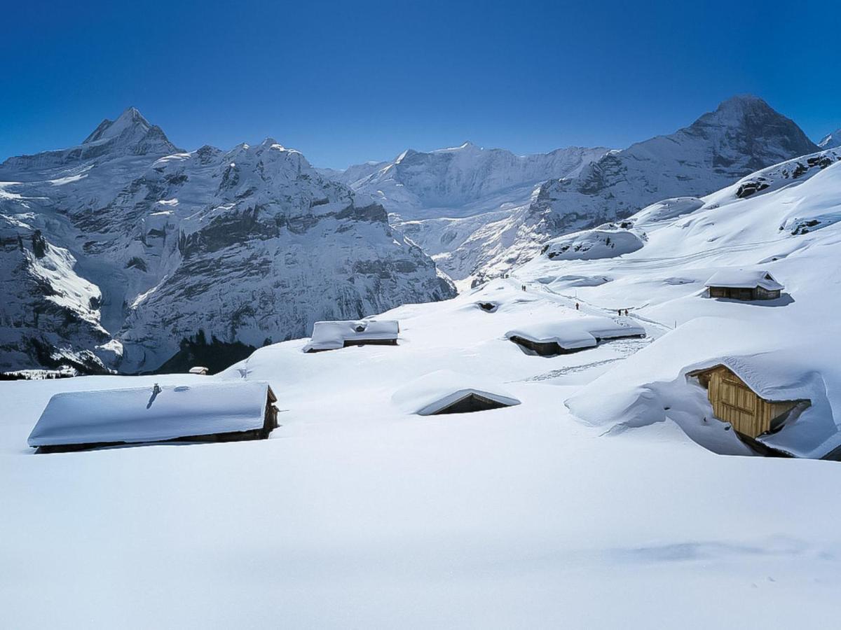 Apartment Chalet Spassvogel By Interhome Grindelwald Esterno foto